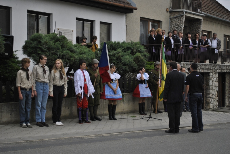 Kladeni kytic